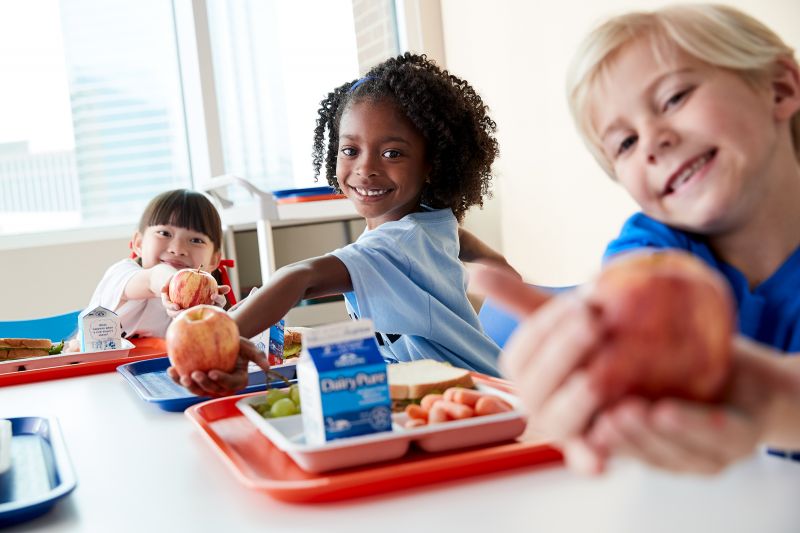 gentleman helps gorgeous haired woman with taxes